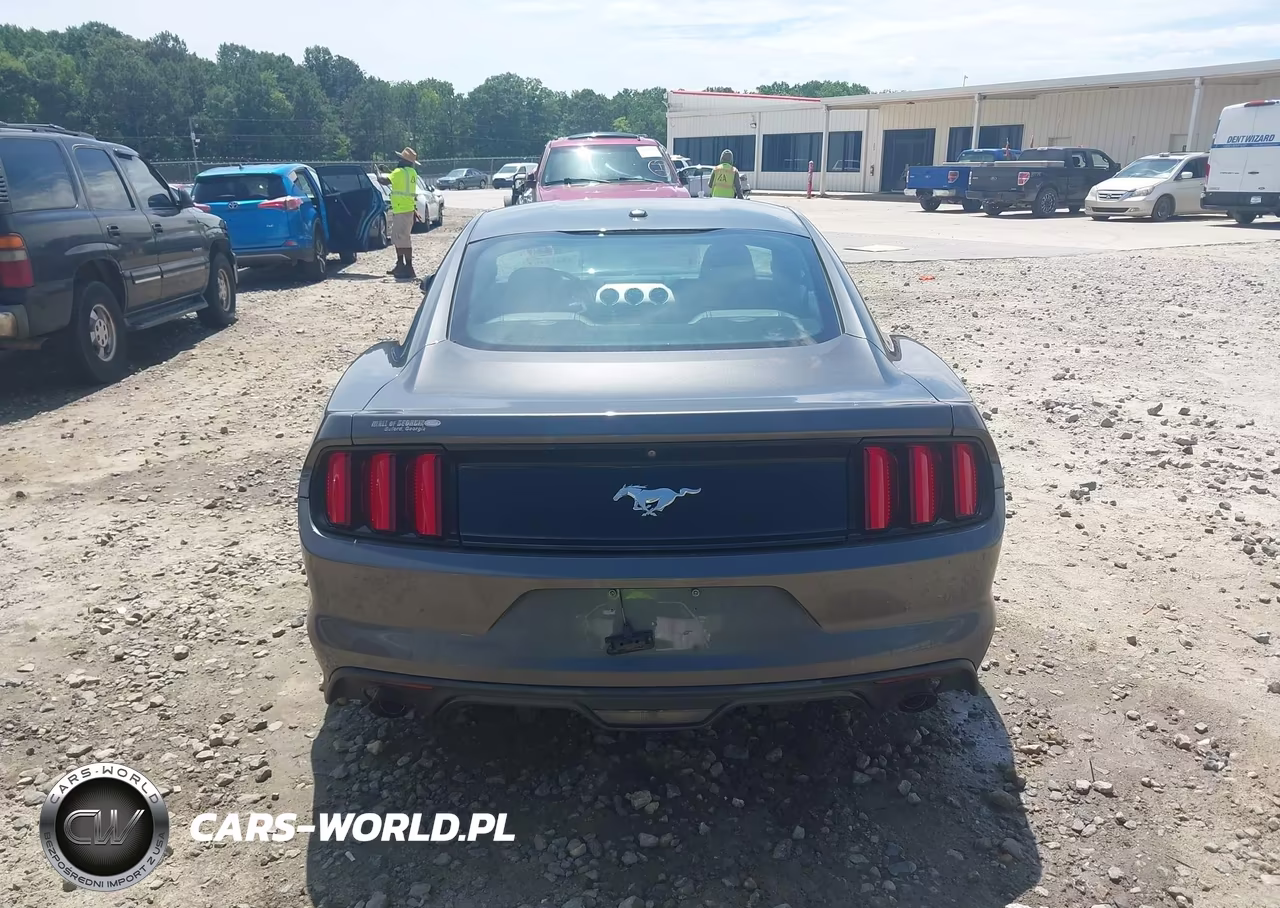 2015 Ford Mustang Ecoboost VIN:1FA6P8TH4F5390320 - 16