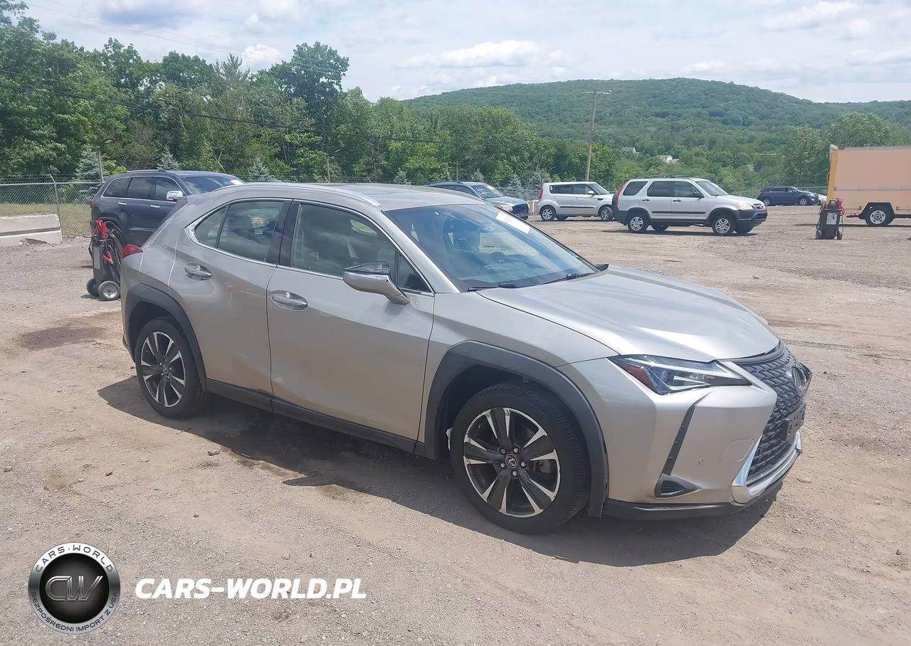 2020 Lexus Ux 200