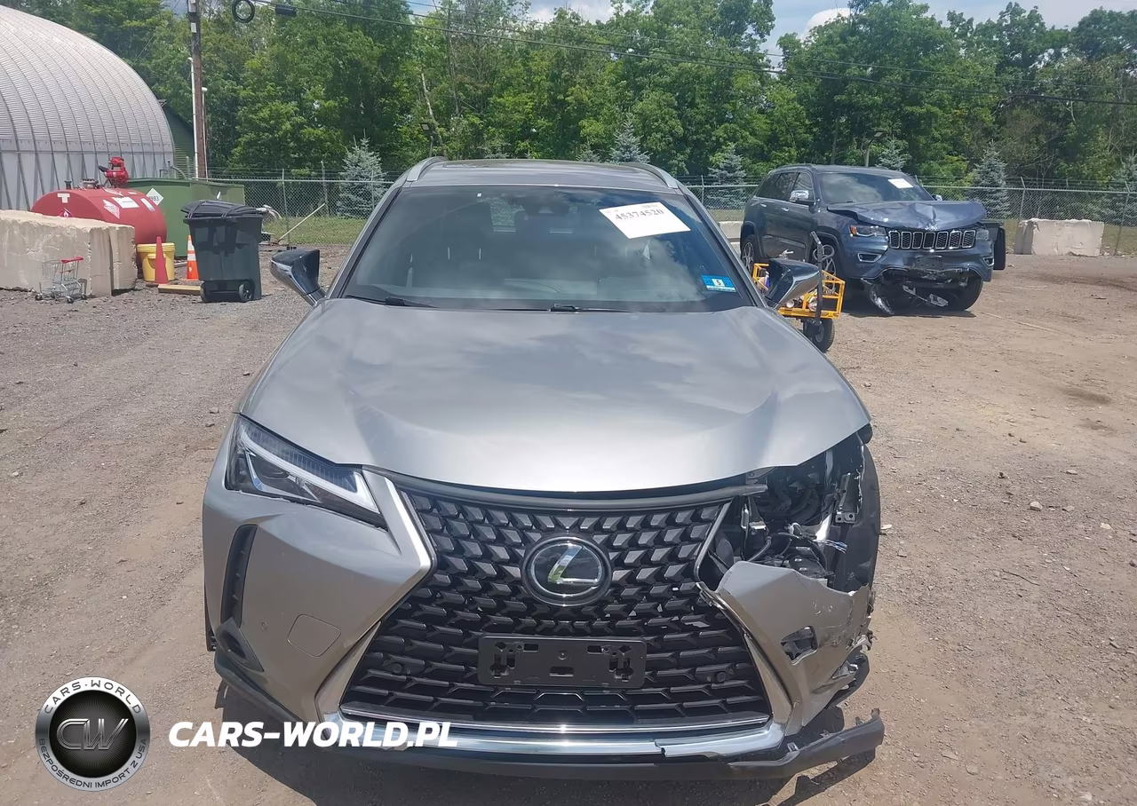 2020 Lexus Ux 200 VIN:JTHX3JBH4L2029197 - 13