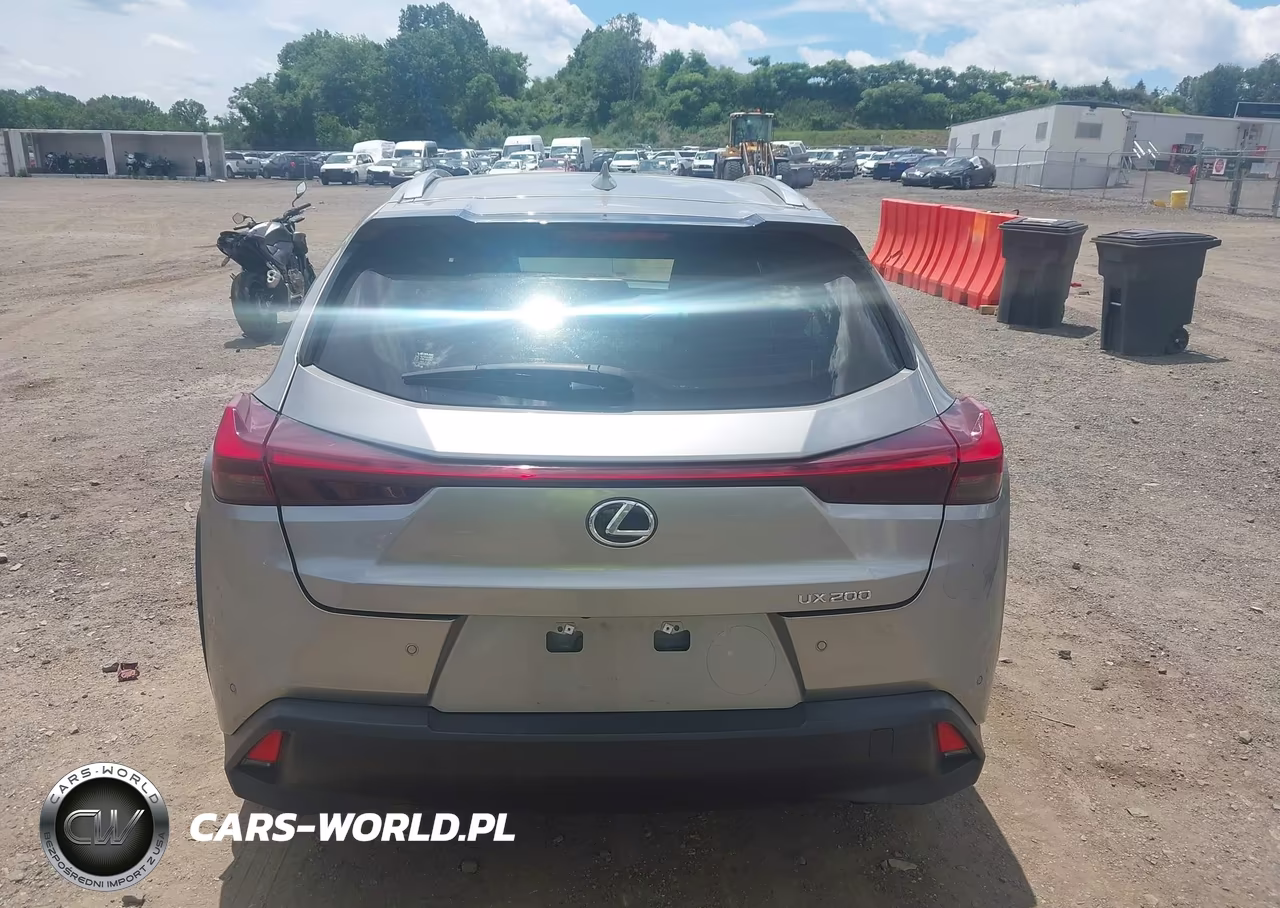 2020 Lexus Ux 200 VIN:JTHX3JBH4L2029197 - 17