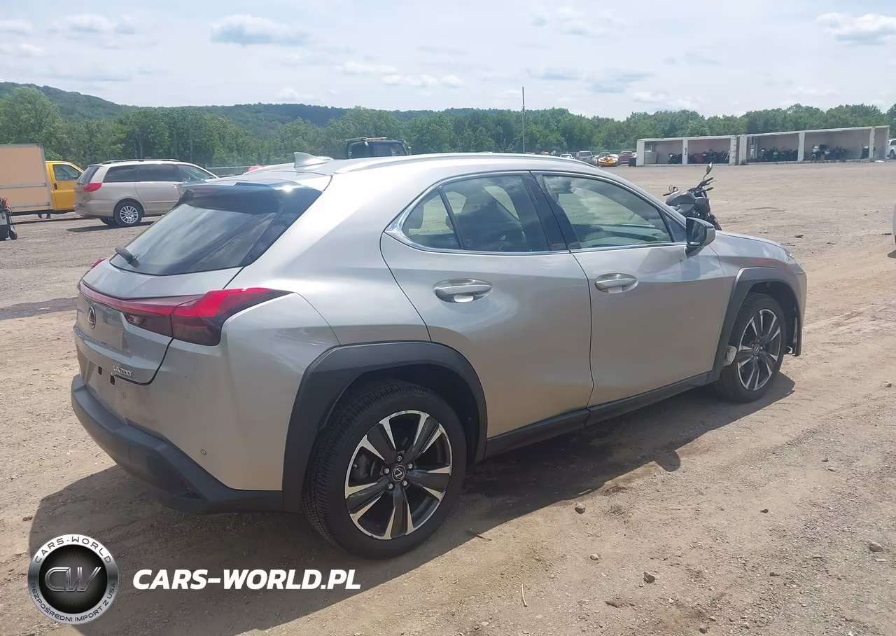 2020 Lexus Ux 200 VIN:JTHX3JBH4L2029197 - 4