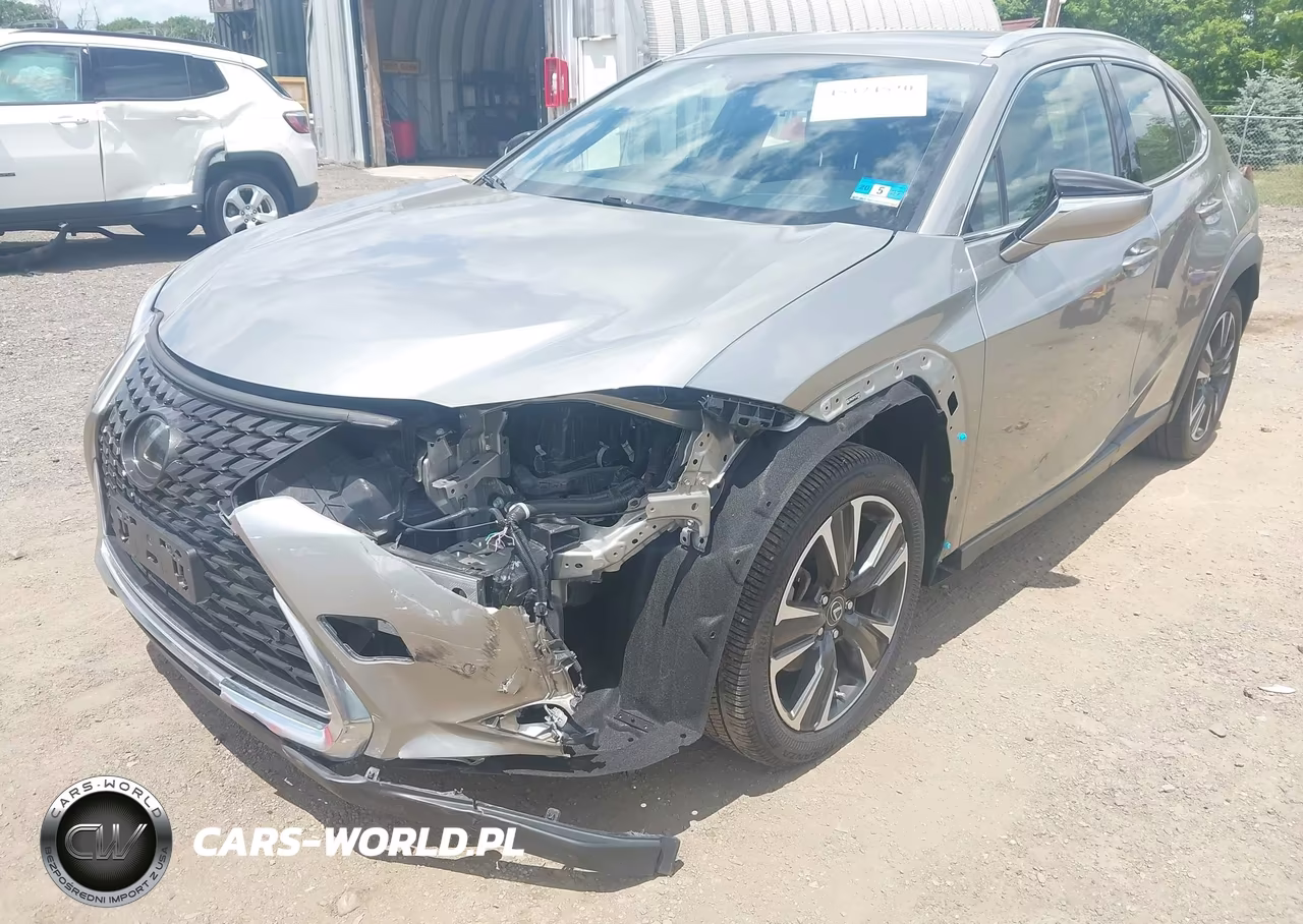 2020 Lexus Ux 200 VIN:JTHX3JBH4L2029197 - 6