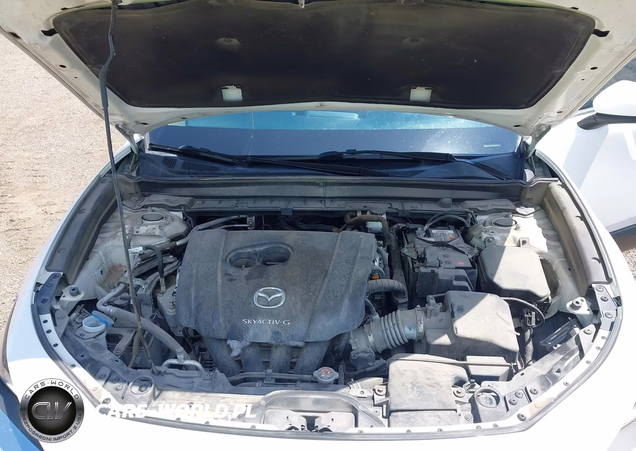 2020 Mazda Cx-30 VIN:3MVDMABL1LM132302 - 10