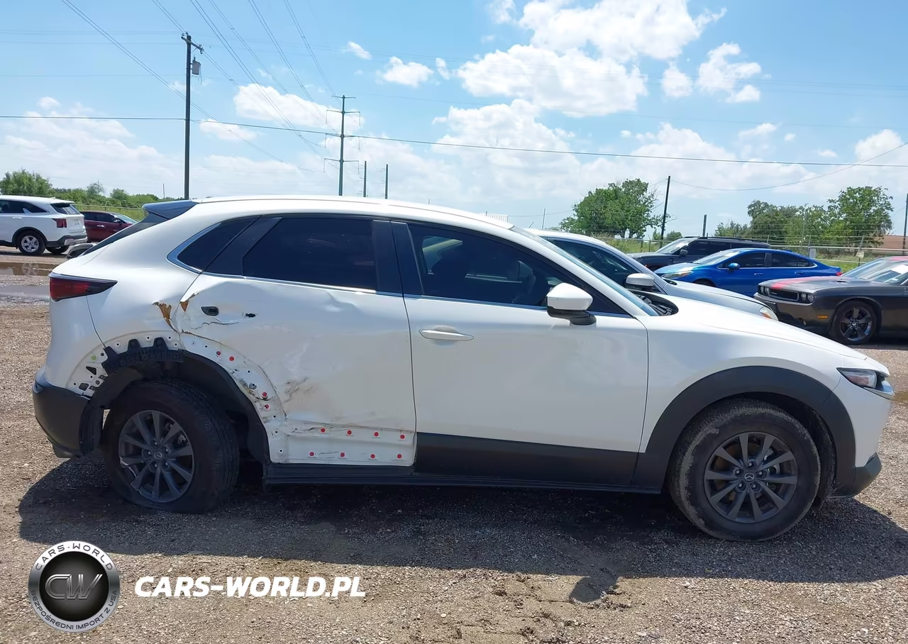 2020 Mazda Cx-30 VIN:3MVDMABL1LM132302 - 14