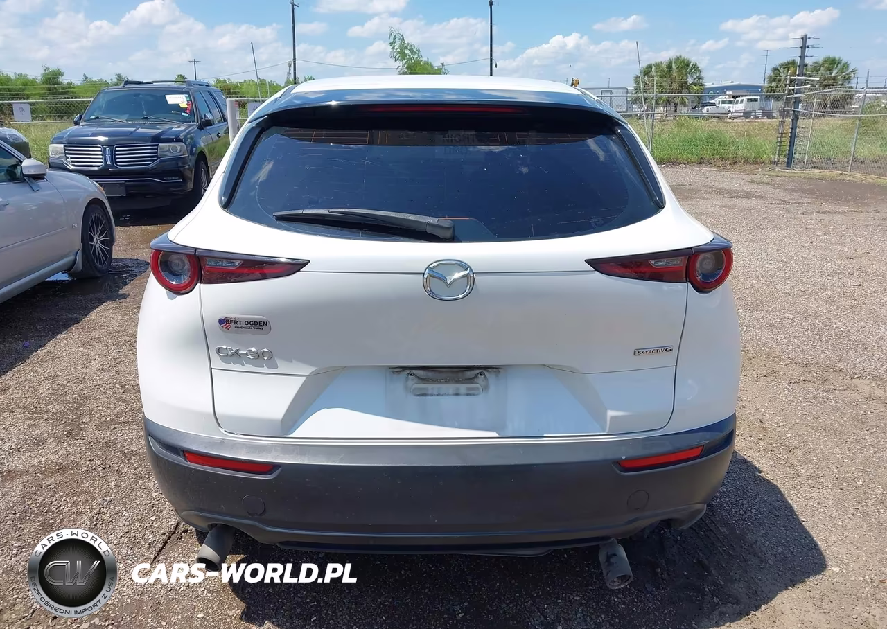 2020 Mazda Cx-30 VIN:3MVDMABL1LM132302 - 17
