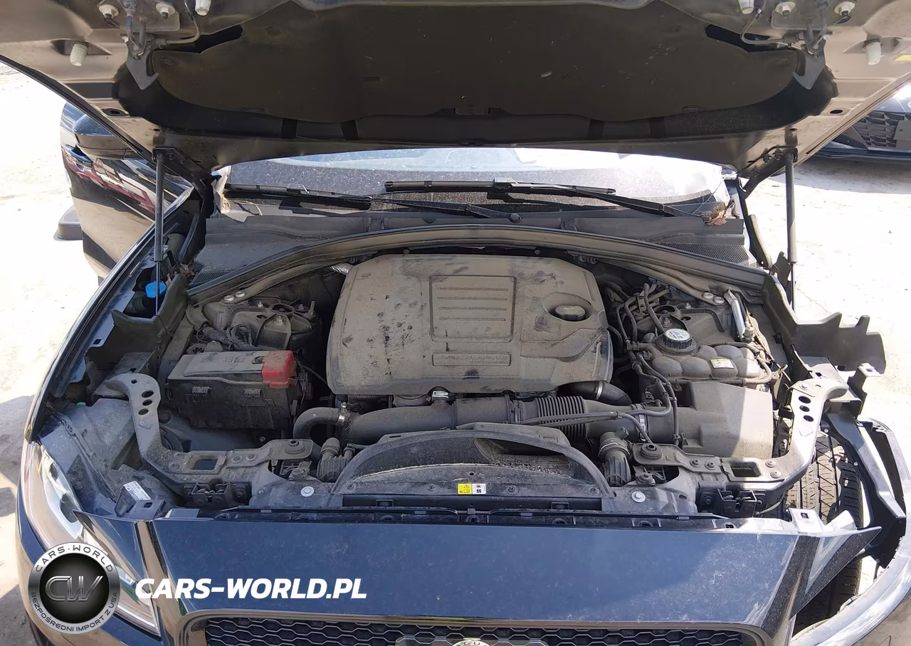 2019 Jaguar F-Pace 25T Premium VIN:SADCJ2FX5KA601299 - 10
