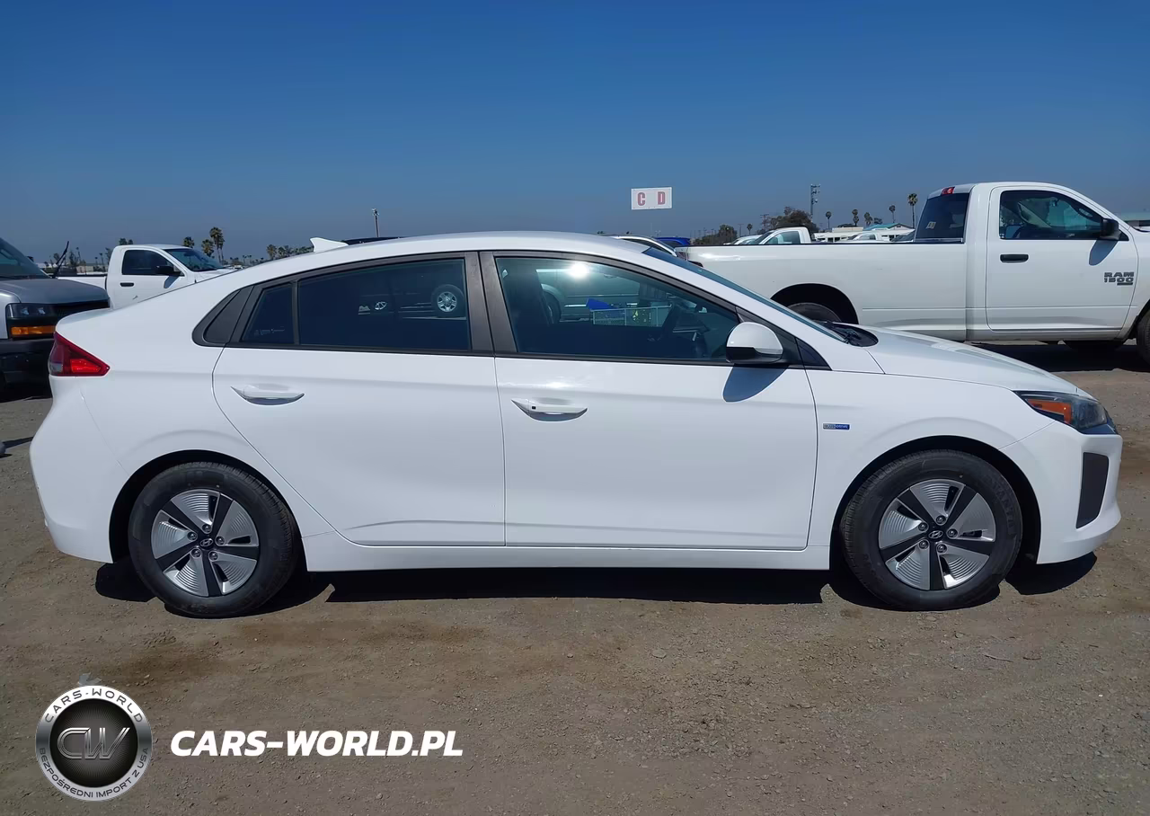 2019 Hyundai Ioniq Hybrid Blue VIN:KMHC65LC3KU107940 - 13