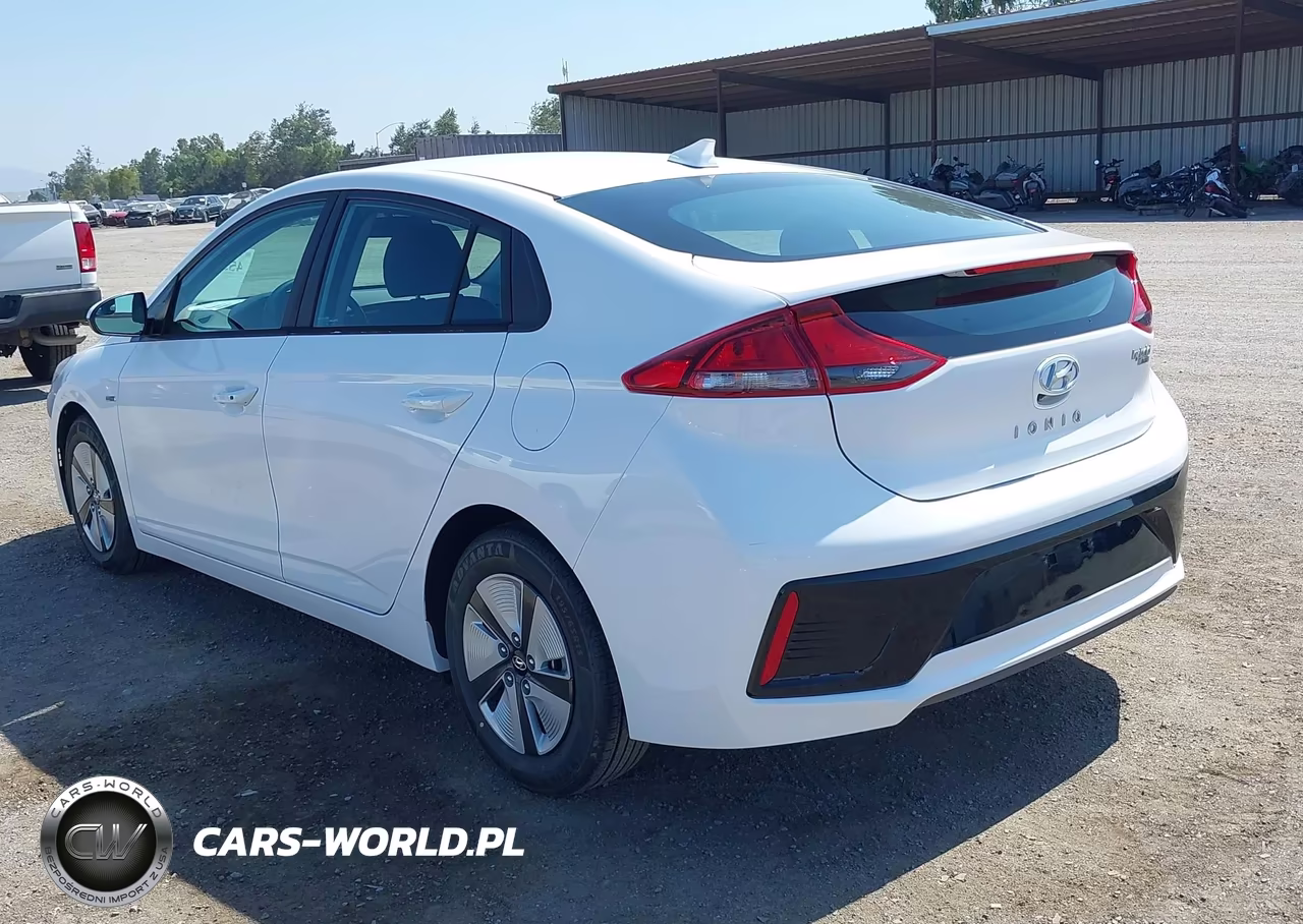 2019 Hyundai Ioniq Hybrid Blue VIN:KMHC65LC3KU107940 - 3