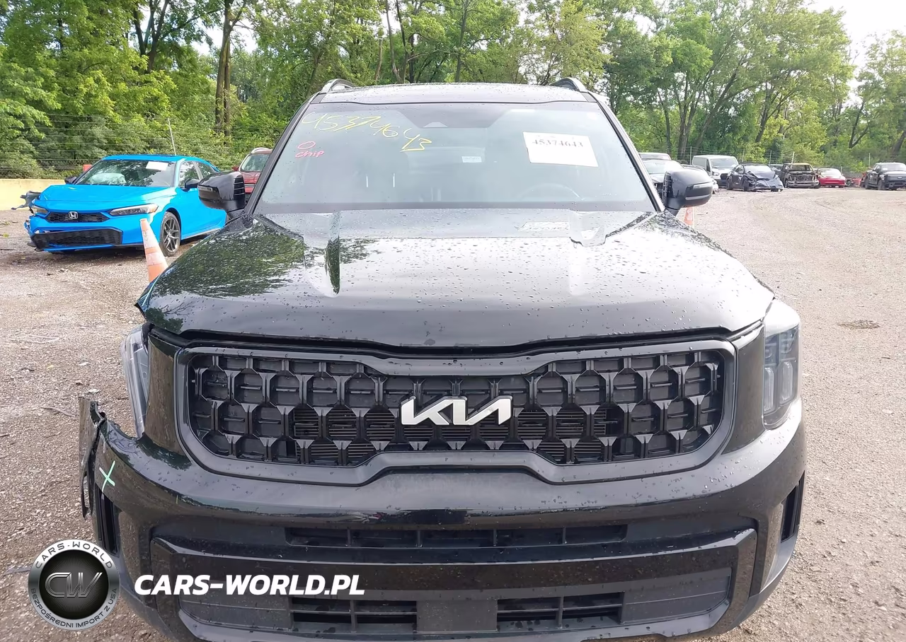 2024 Kia Telluride Ex X-Line VIN:5XYP3DGC8RG514330 - 12