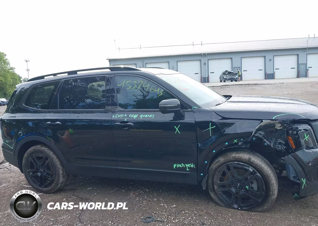2024 Kia Telluride Ex X-Line VIN:5XYP3DGC8RG514330 - 13
