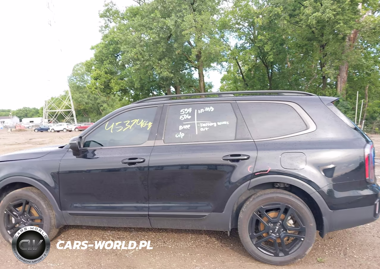 2024 Kia Telluride Ex X-Line VIN:5XYP3DGC8RG514330 - 14