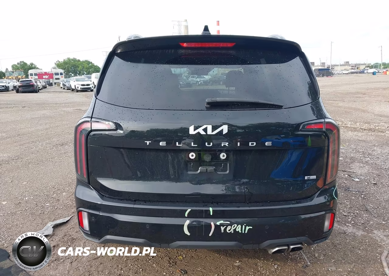 2024 Kia Telluride Ex X-Line VIN:5XYP3DGC8RG514330 - 16