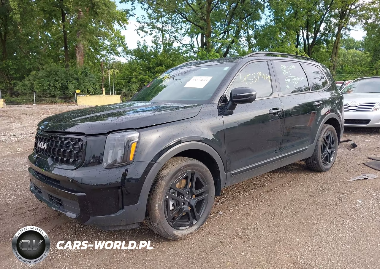 2024 Kia Telluride Ex X-Line VIN:5XYP3DGC8RG514330 - 2