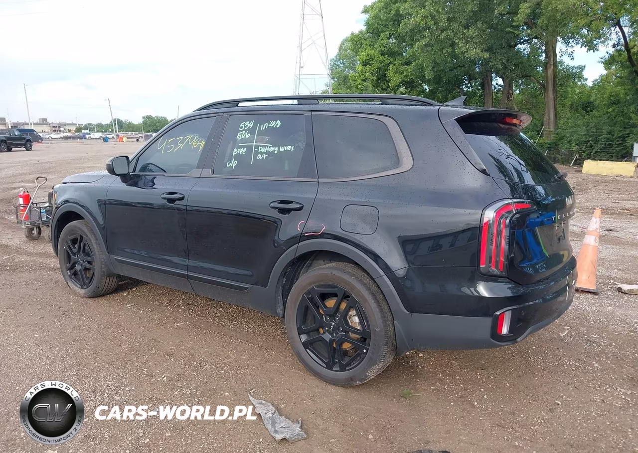 2024 Kia Telluride Ex X-Line VIN:5XYP3DGC8RG514330 - 3