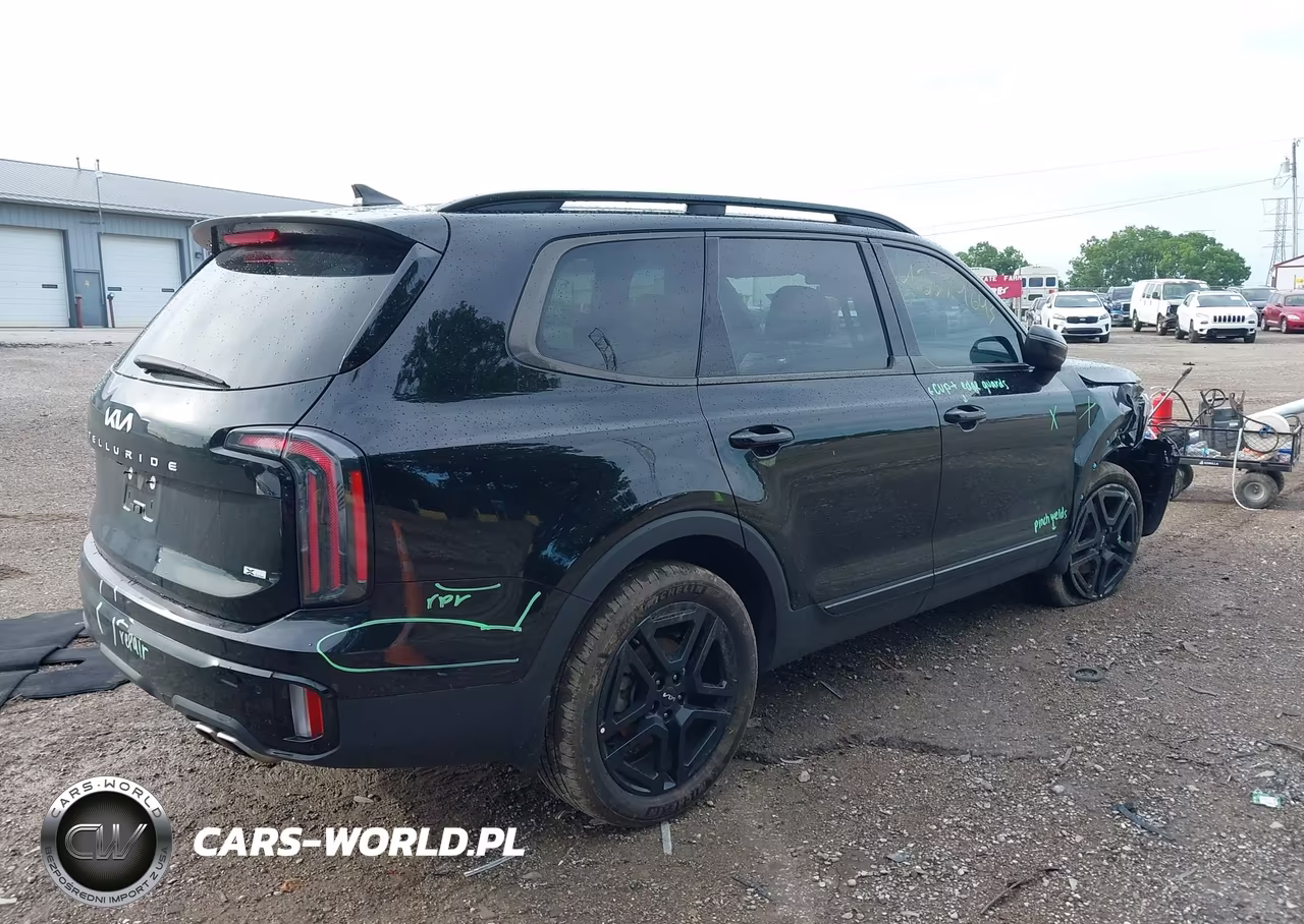 2024 Kia Telluride Ex X-Line VIN:5XYP3DGC8RG514330 - 4