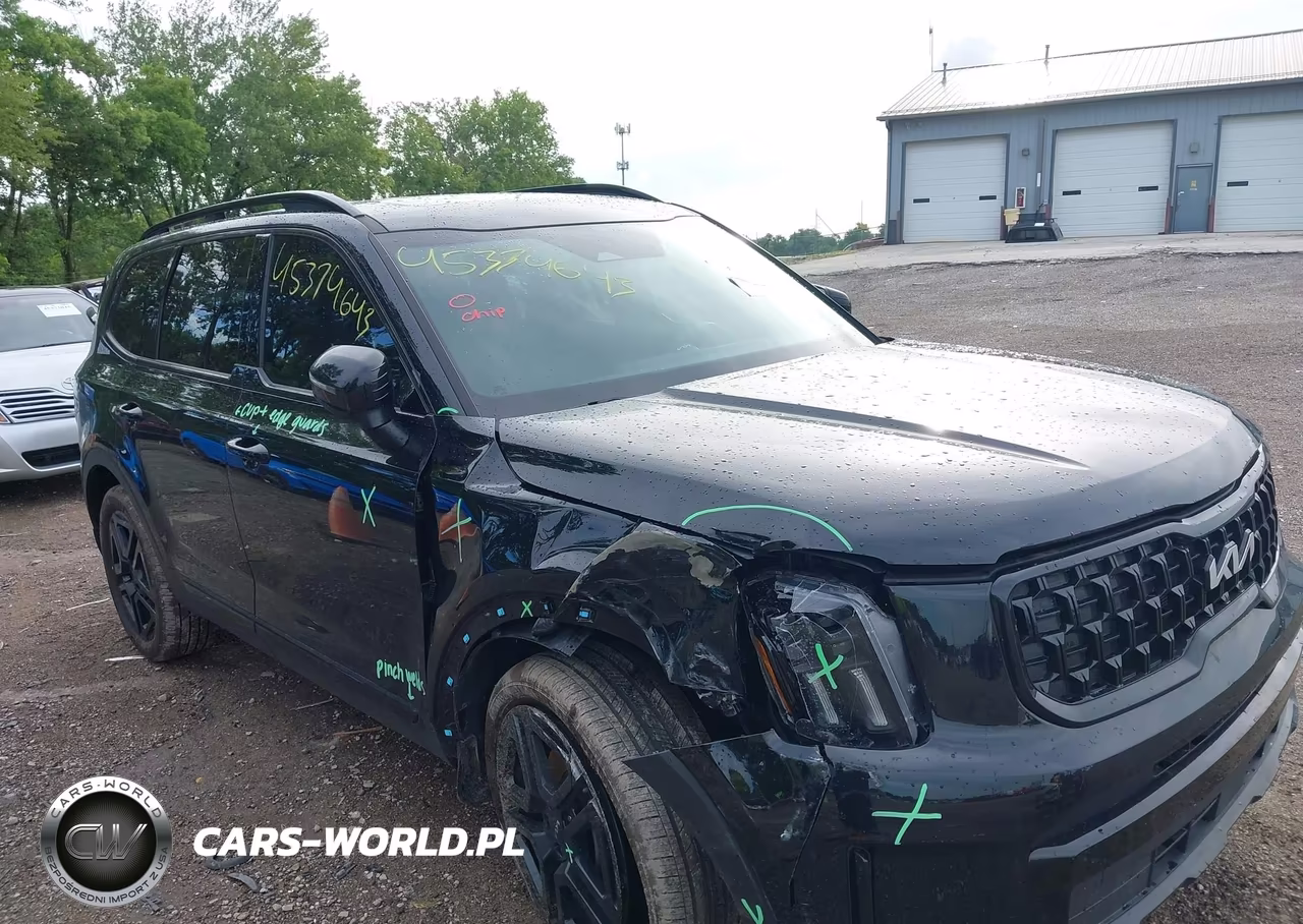2024 Kia Telluride Ex X-Line VIN:5XYP3DGC8RG514330 - 6