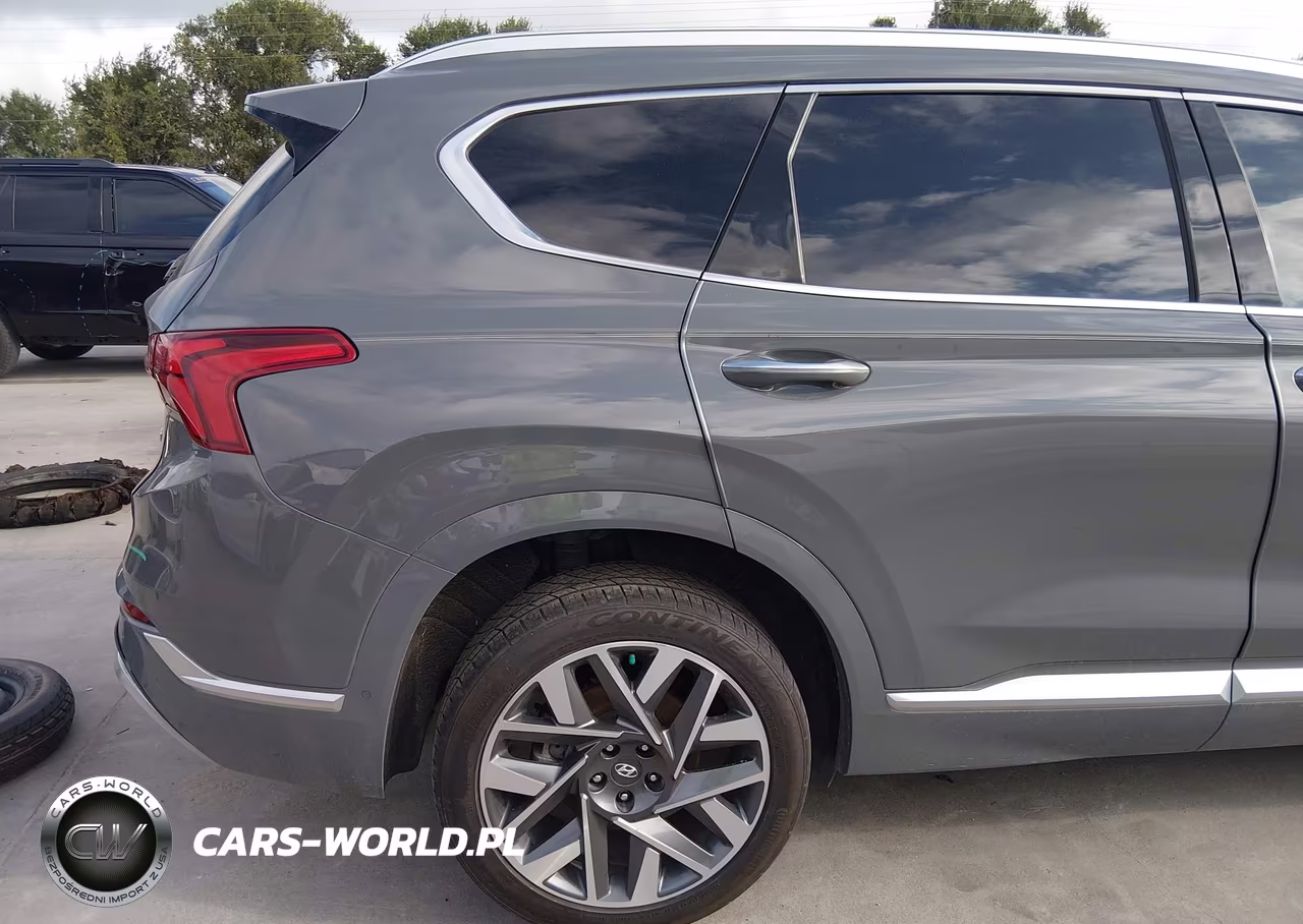 2022 Hyundai Santa Fe Calligraphy VIN:5NMS5DAL4NH420474 - 19