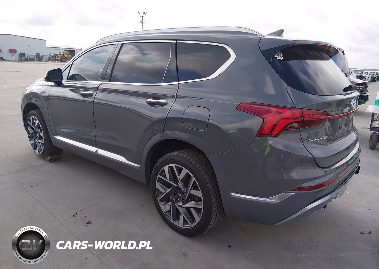 2022 Hyundai Santa Fe Calligraphy VIN:5NMS5DAL4NH420474 - 3