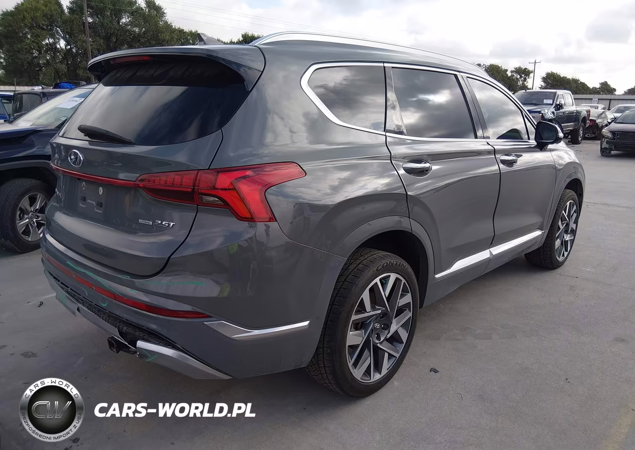 2022 Hyundai Santa Fe Calligraphy VIN:5NMS5DAL4NH420474 - 4