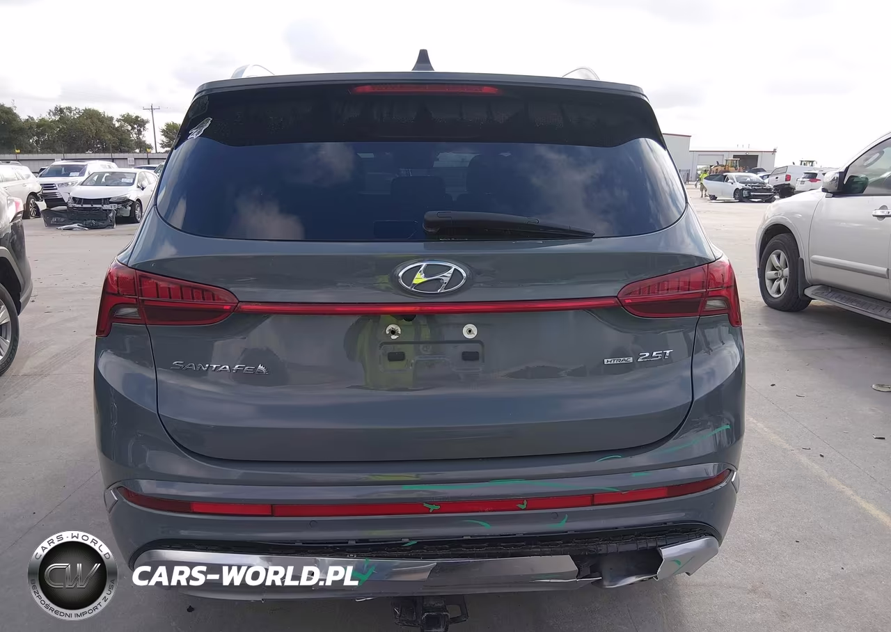 2022 Hyundai Santa Fe Calligraphy VIN:5NMS5DAL4NH420474 - 6