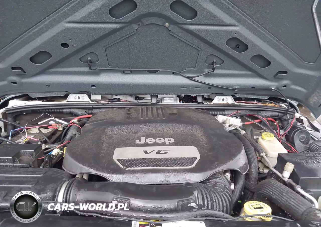 2016 Jeep Wrangler Unlimited Sport VIN:1C4BJWDGXGL270636 - 10