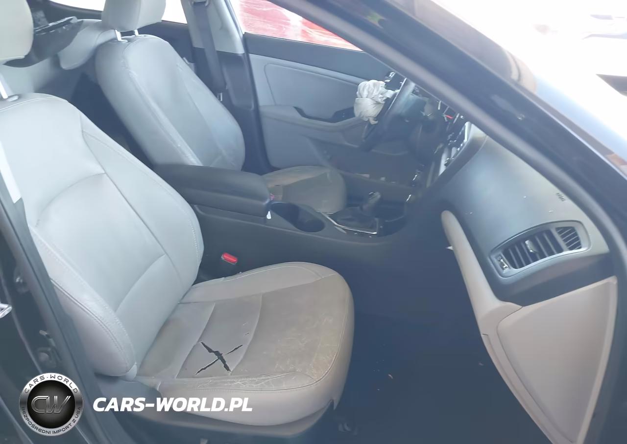 2013 Kia Optima Ex VIN:5XXGN4A71DG091822 - 5