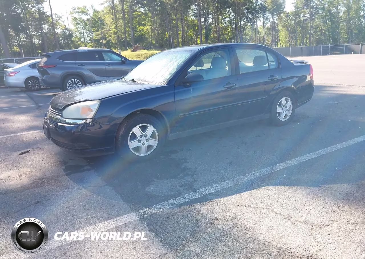 2004 Chevrolet Malibu Ls VIN:1G1ZT54844F179392 - 2