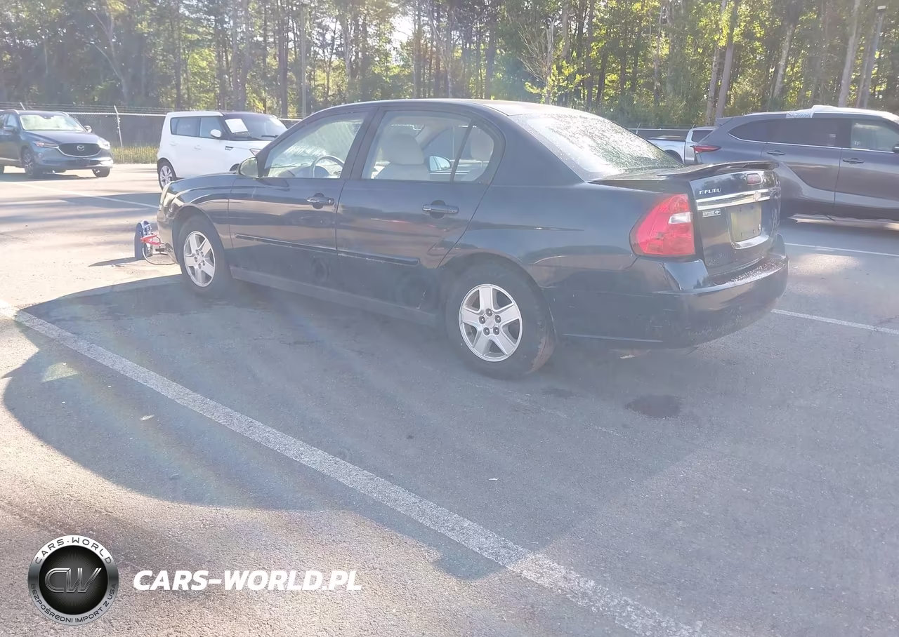 2004 Chevrolet Malibu Ls VIN:1G1ZT54844F179392 - 3