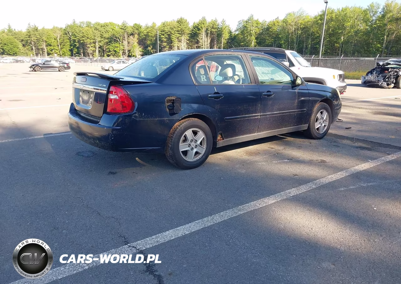 2004 Chevrolet Malibu Ls VIN:1G1ZT54844F179392 - 4