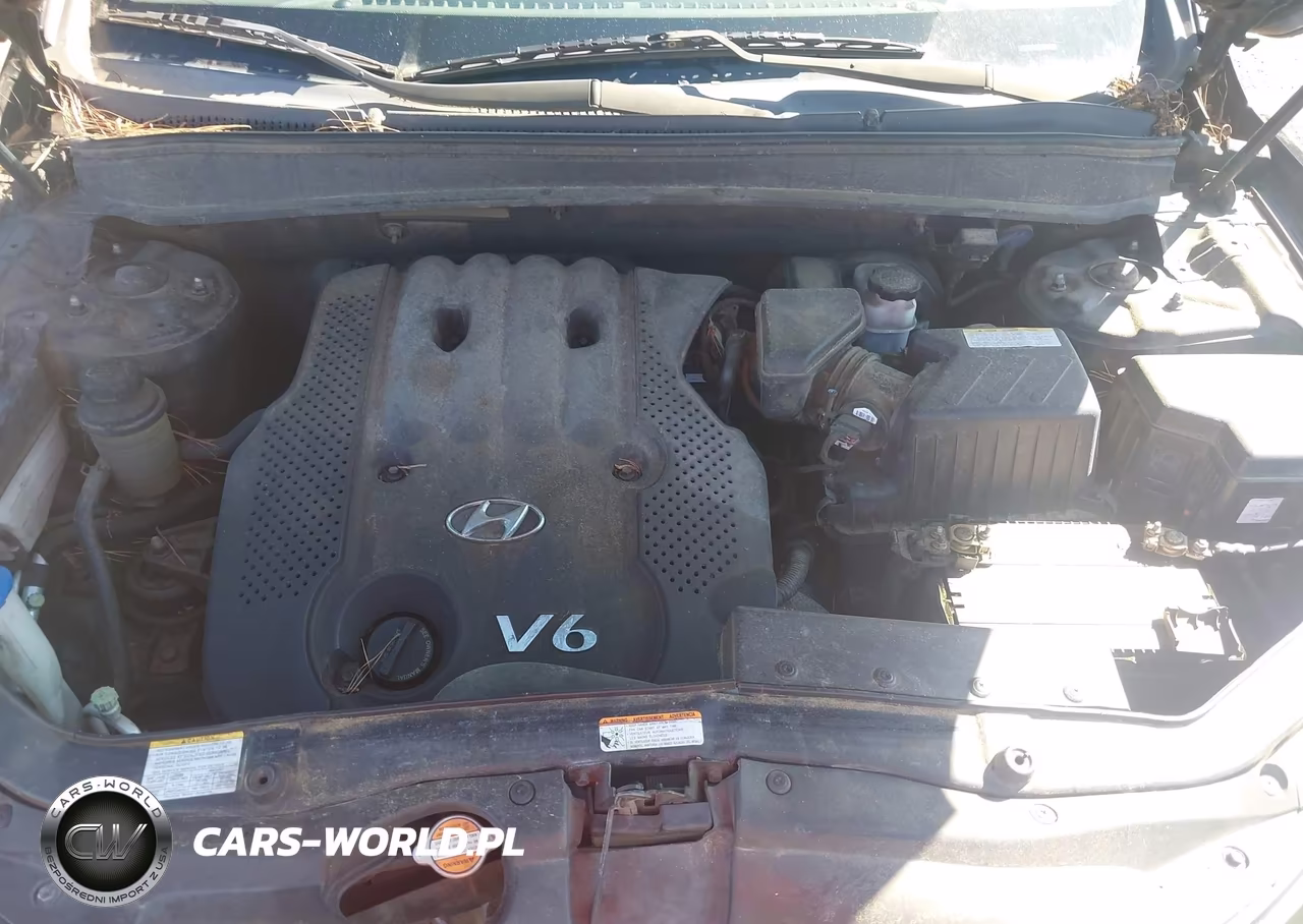 2008 Hyundai Santa Fe Gls VIN:5NMSG13D78H178797 - 10