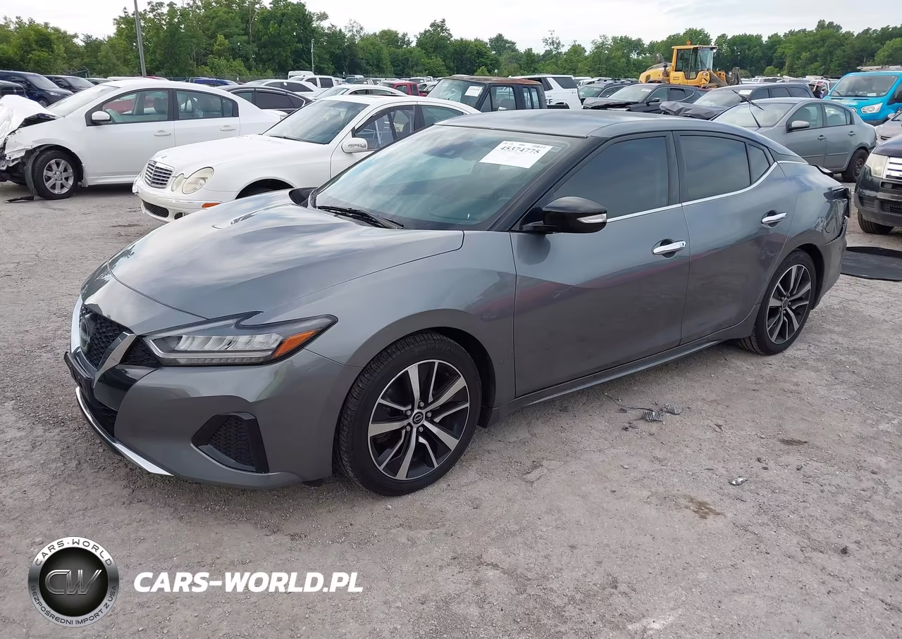 2023 Nissan Maxima Sv Xtronic Cvt VIN:1N4AA6CV0PC502744 - 2