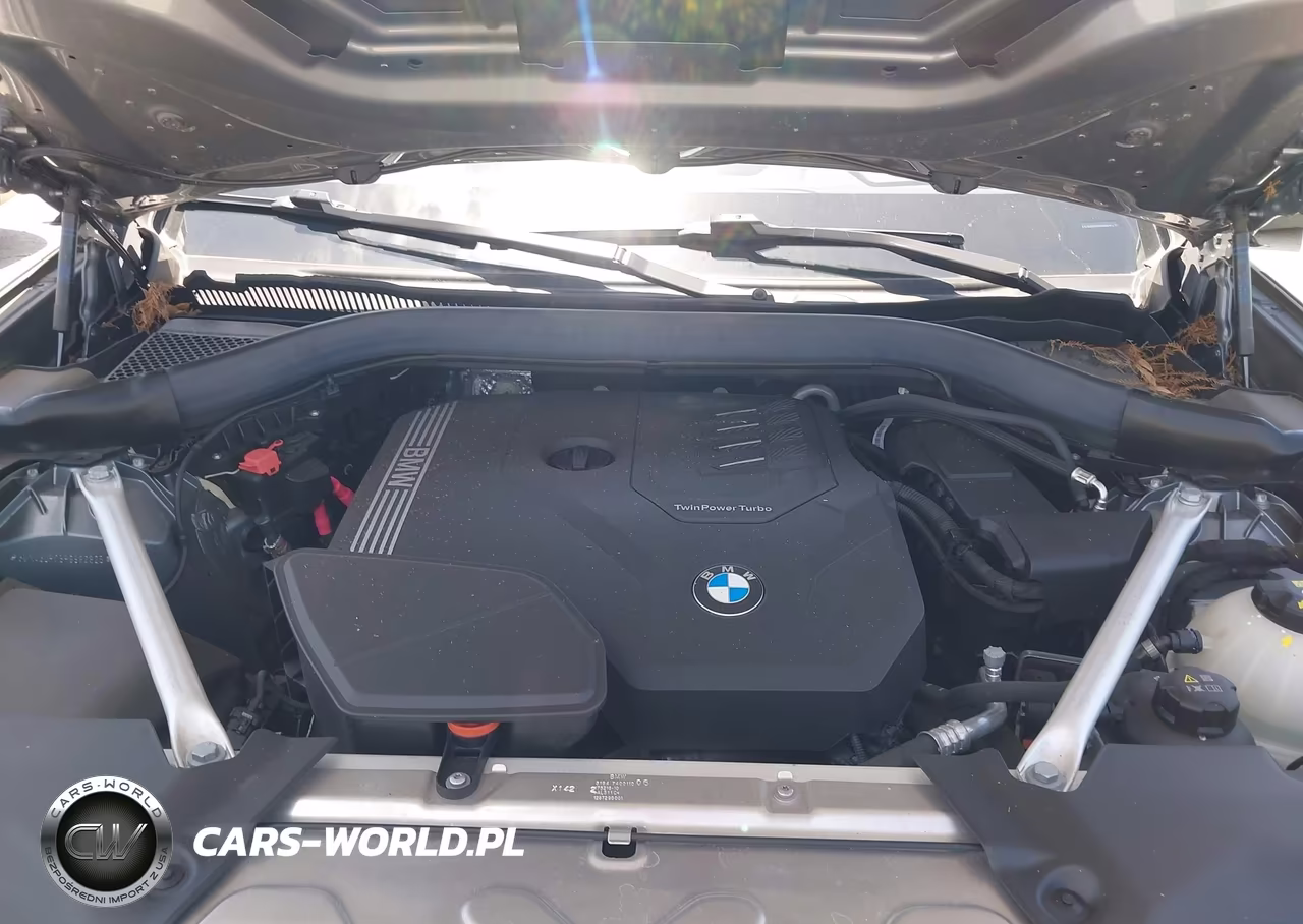 2023 BMW X3 Sdrive30I VIN:5UX43DP05P9S82825 - 10