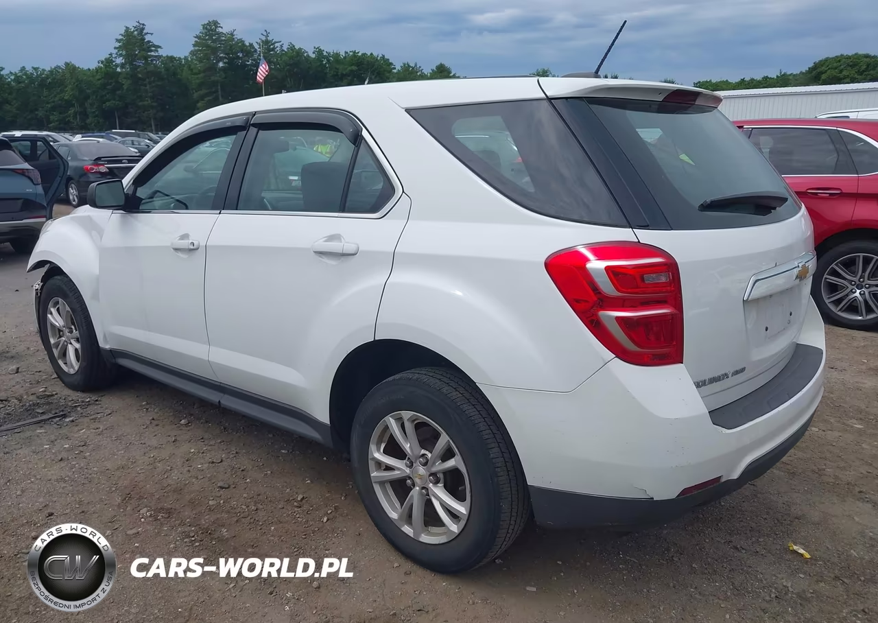 2017 Chevrolet Equinox Ls VIN:2GNFLEEK1H6102829 - 3