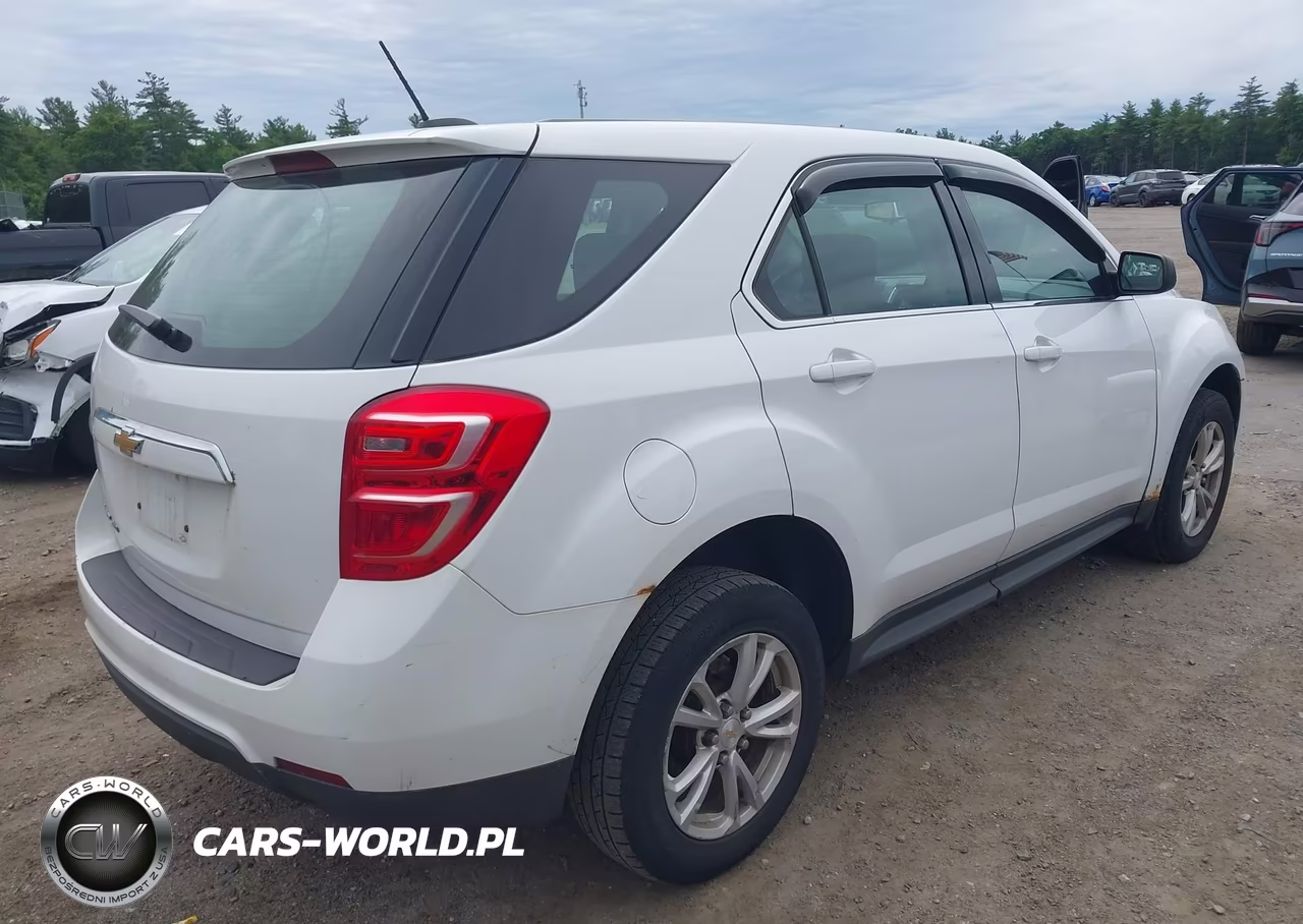 2017 Chevrolet Equinox Ls VIN:2GNFLEEK1H6102829 - 4