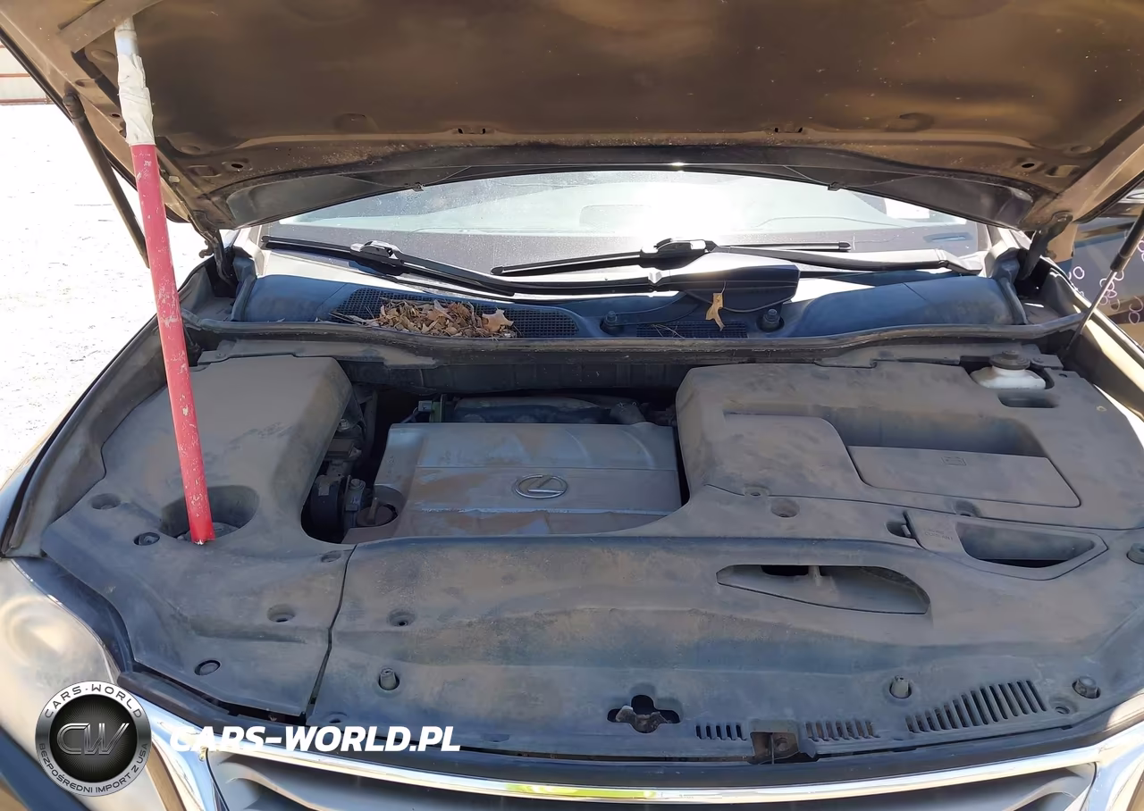 2013 Lexus Rx 350 VIN:2T2BK1BA8DC160651 - 10