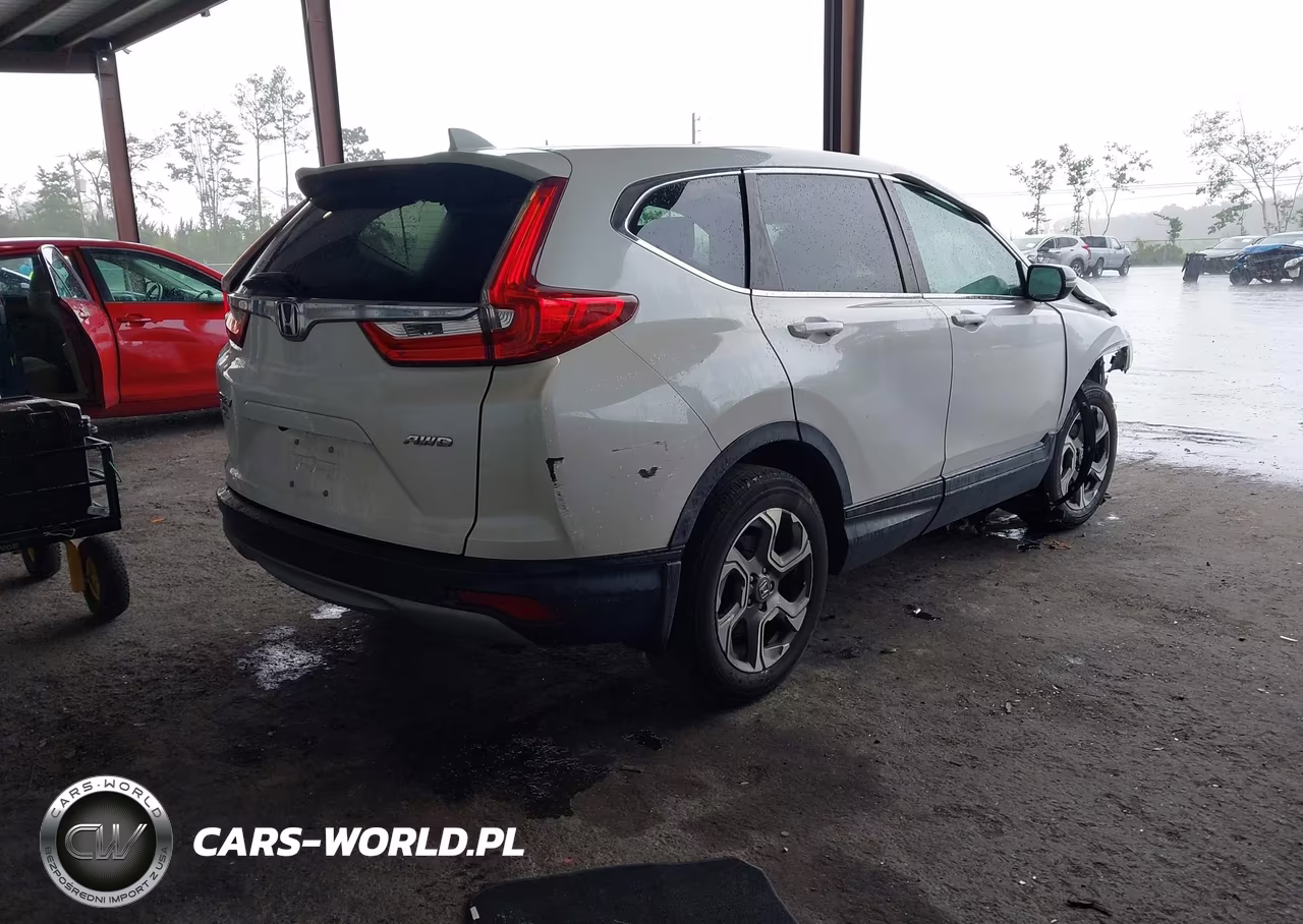 2019 Honda Cr-V Ex VIN:5J6RW2H53KL021860 - 4