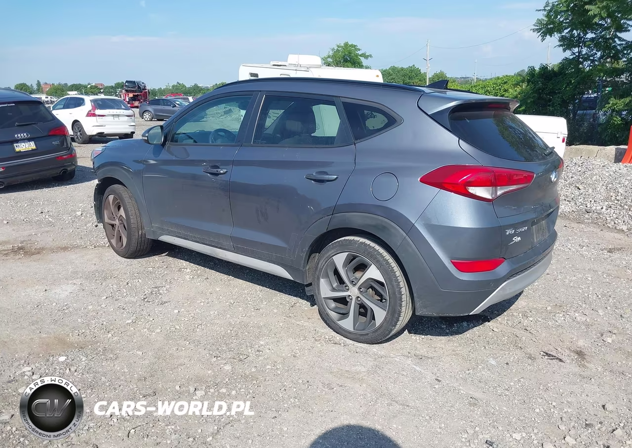 2018 Hyundai Tucson Value VIN:KM8J3CA26JU755723 - 3