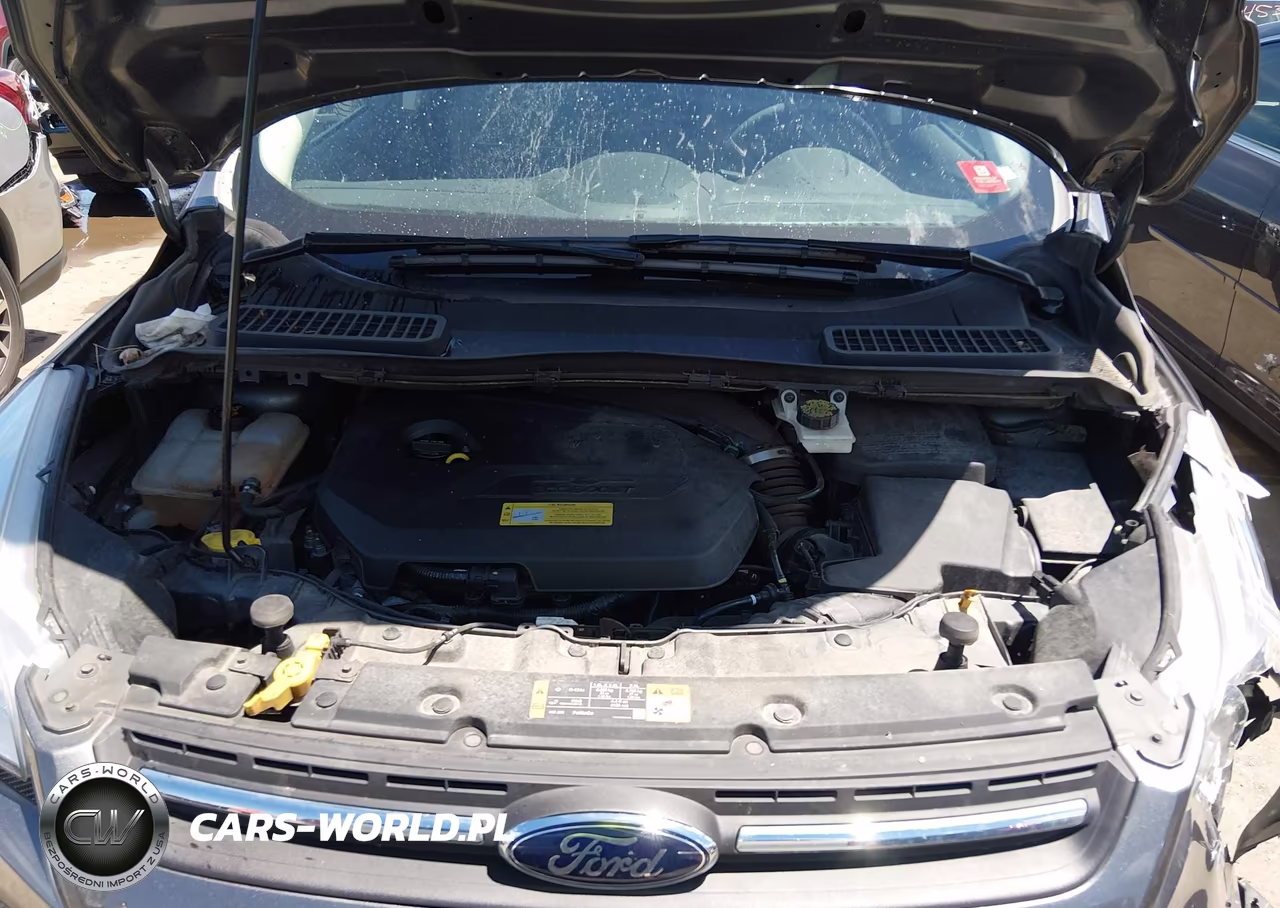 2014 Ford Escape Se VIN:1FMCU0GX6EUD07687 - 10
