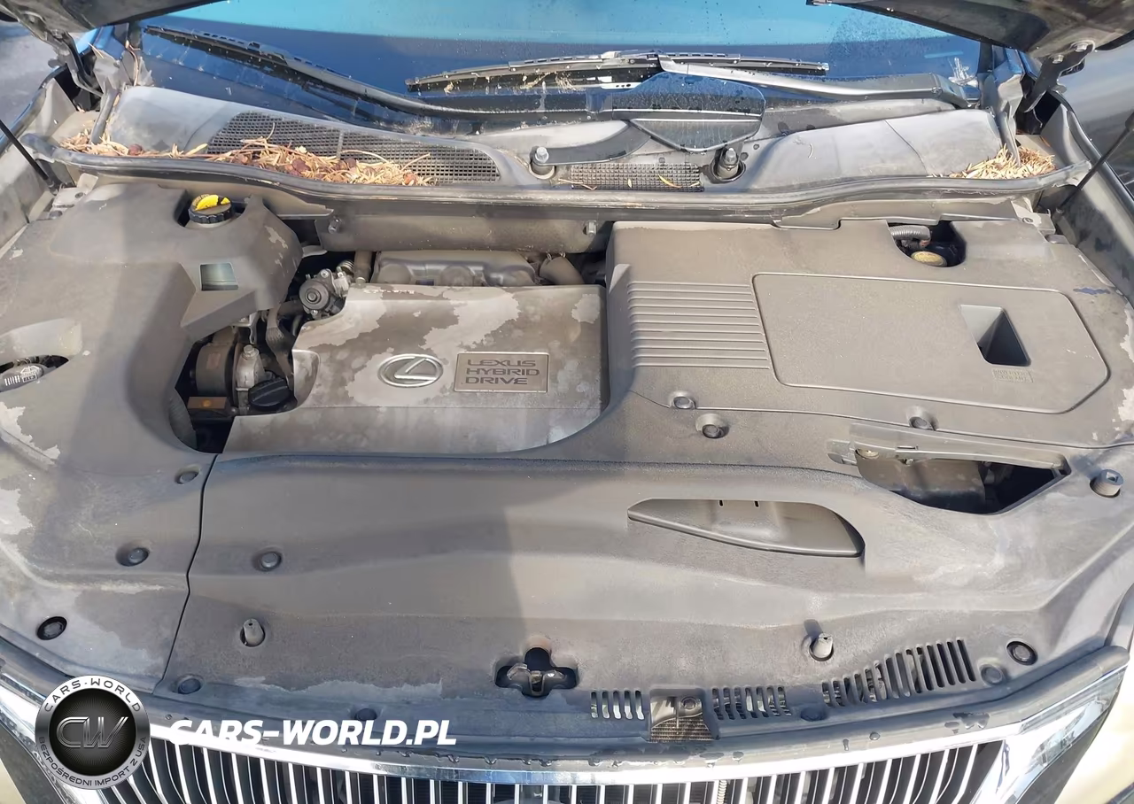 2010 Lexus Rx 450H VIN:JTJZB1BA3A2401350 - 10