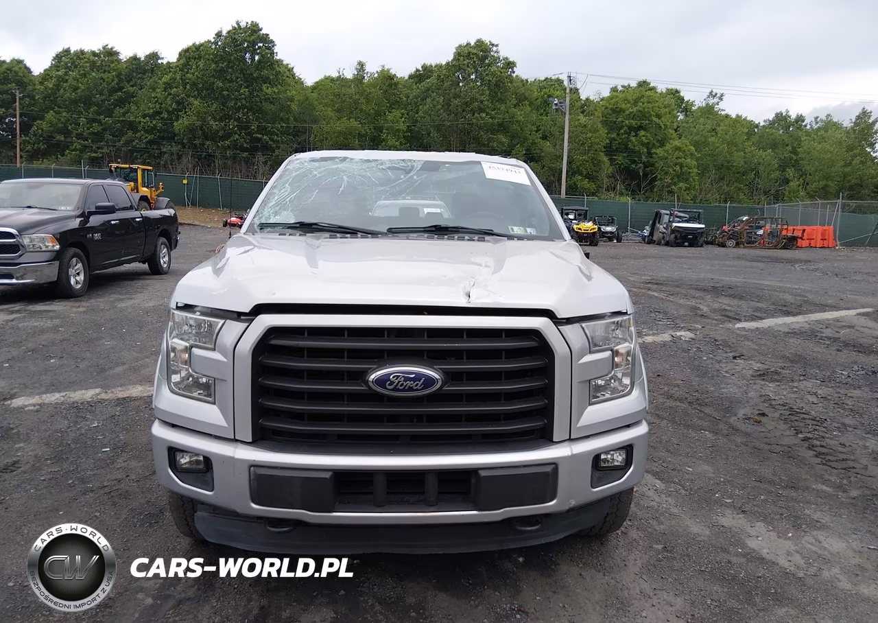 2015 Ford F-150 Xlt VIN:1FTEW1EP3FFA13573 - 12