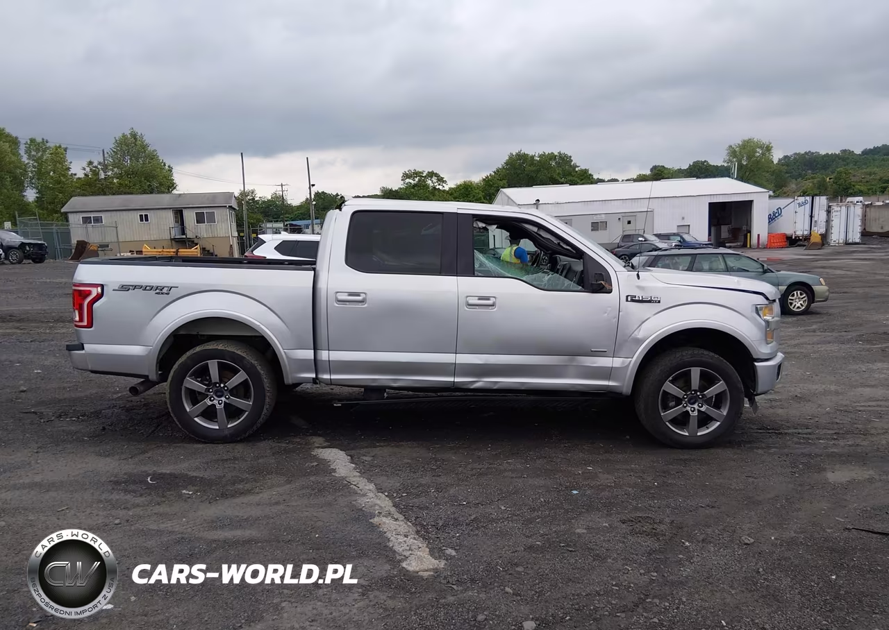 2015 Ford F-150 Xlt VIN:1FTEW1EP3FFA13573 - 13