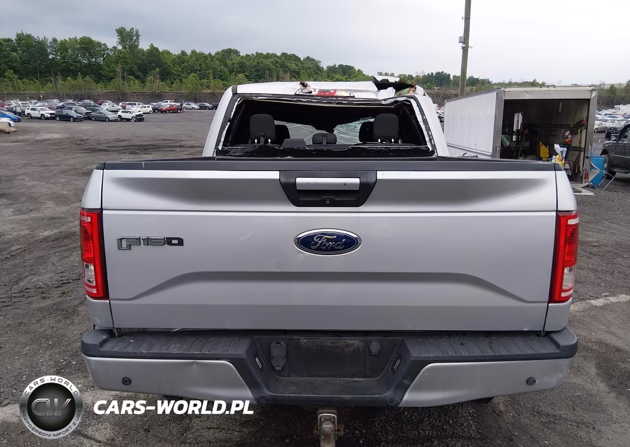 2015 Ford F-150 Xlt VIN:1FTEW1EP3FFA13573 - 16