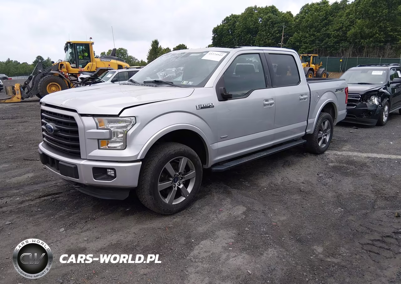 2015 Ford F-150 Xlt VIN:1FTEW1EP3FFA13573 - 2