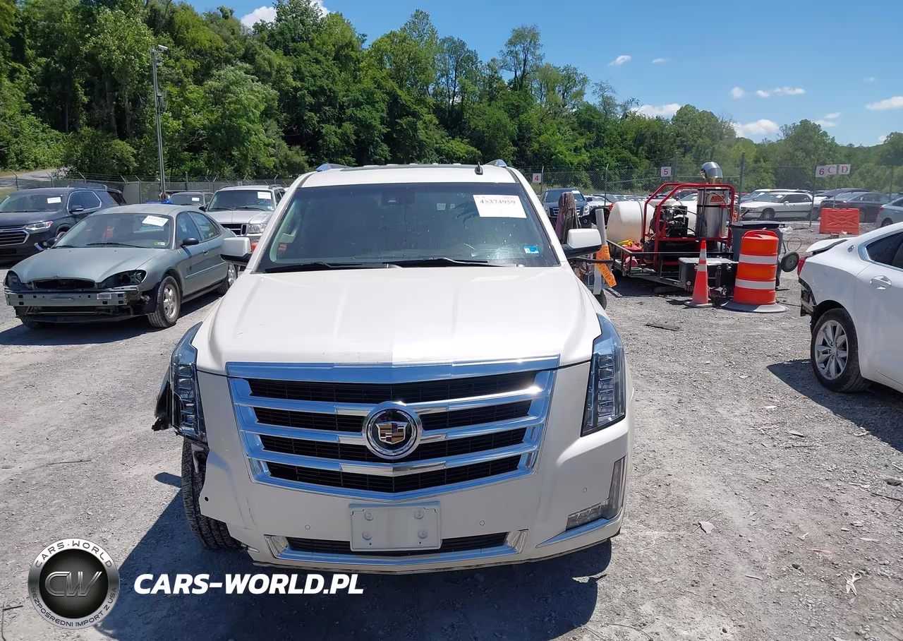 2015 Cadillac Escalade Luxury VIN:1GYS4BKJ0FR216864 - 12