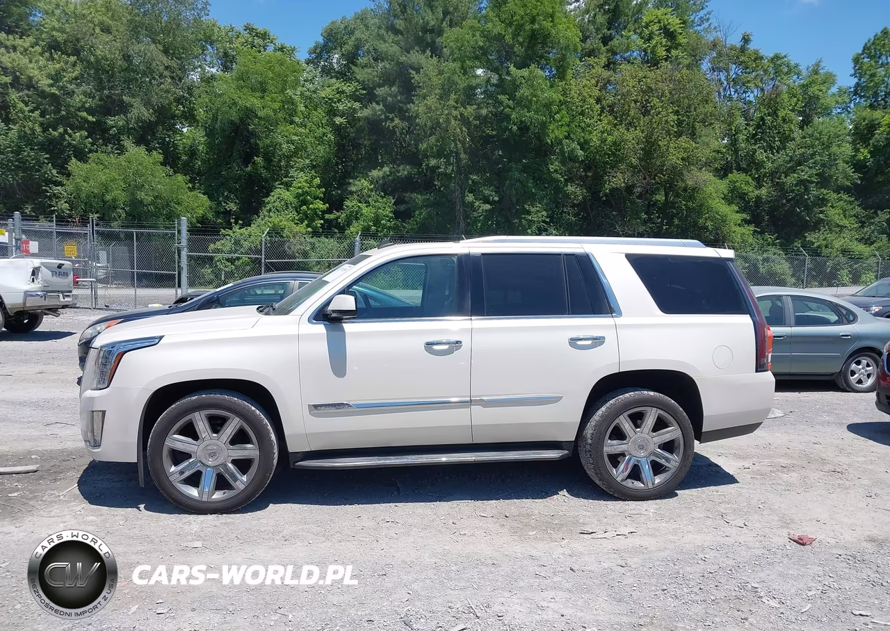 2015 Cadillac Escalade Luxury VIN:1GYS4BKJ0FR216864 - 14