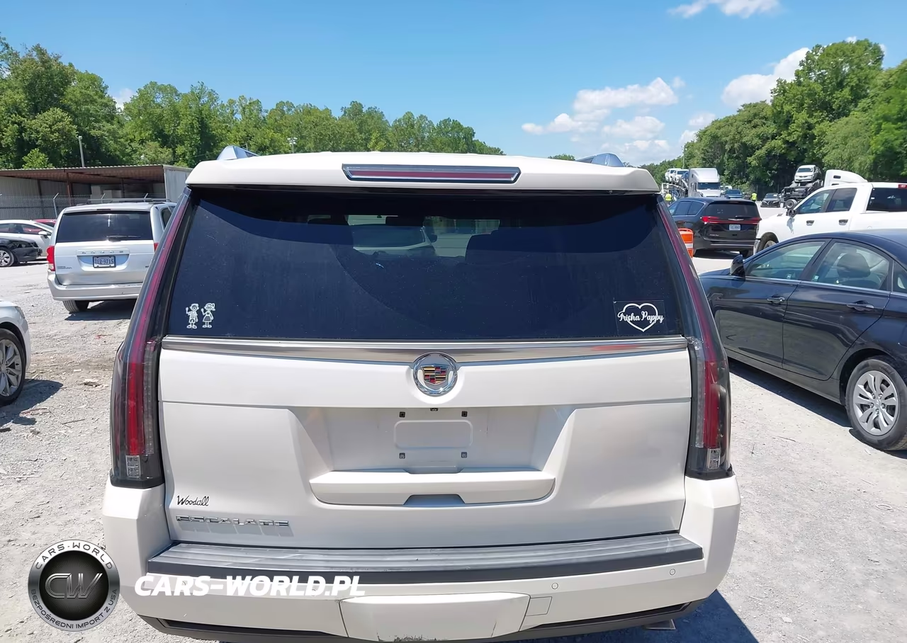 2015 Cadillac Escalade Luxury VIN:1GYS4BKJ0FR216864 - 16