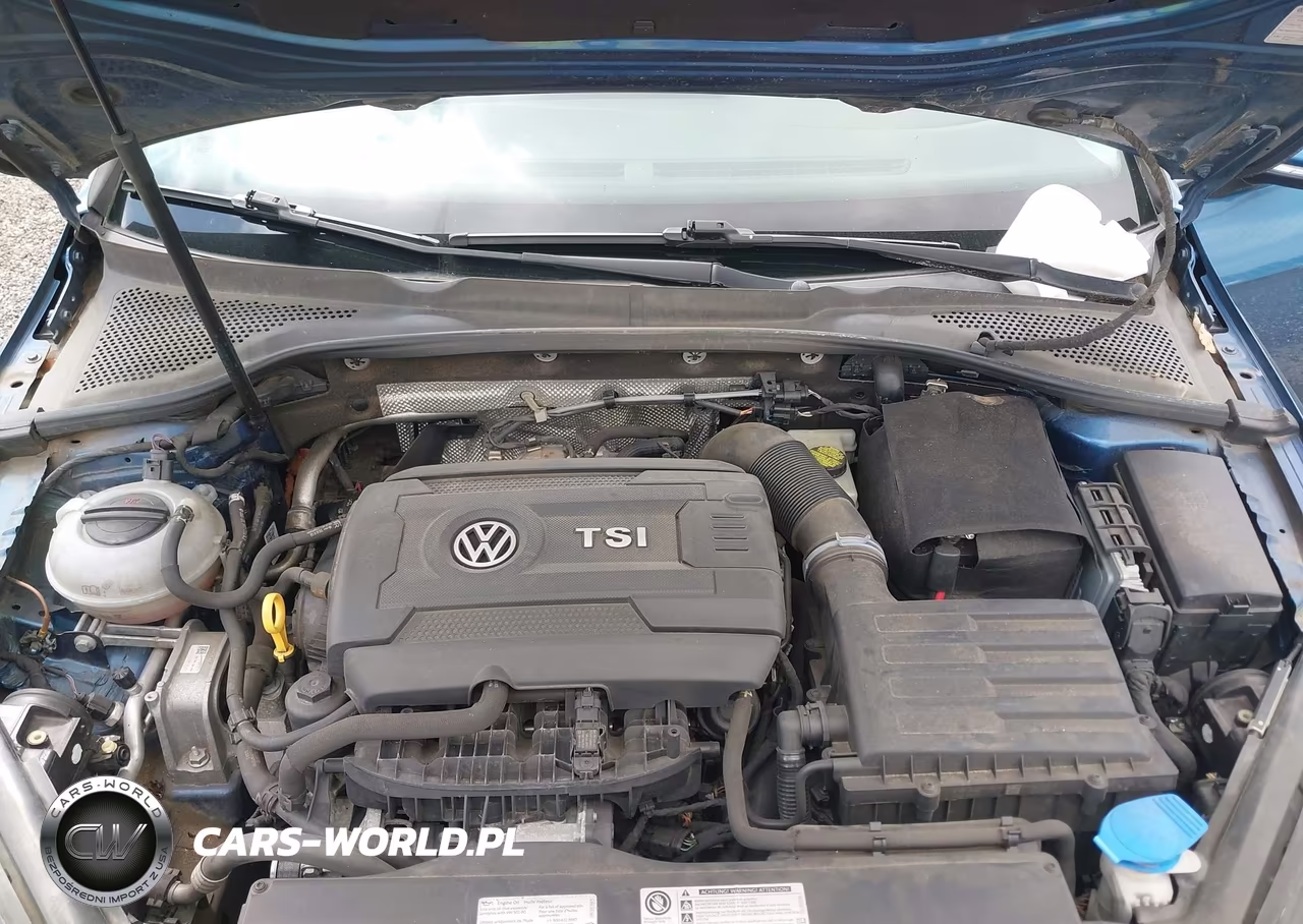 2016 Volkswagen Golf Sportwagen Tsi S 4-Door VIN:3VWC17AU3GM516328 - 10