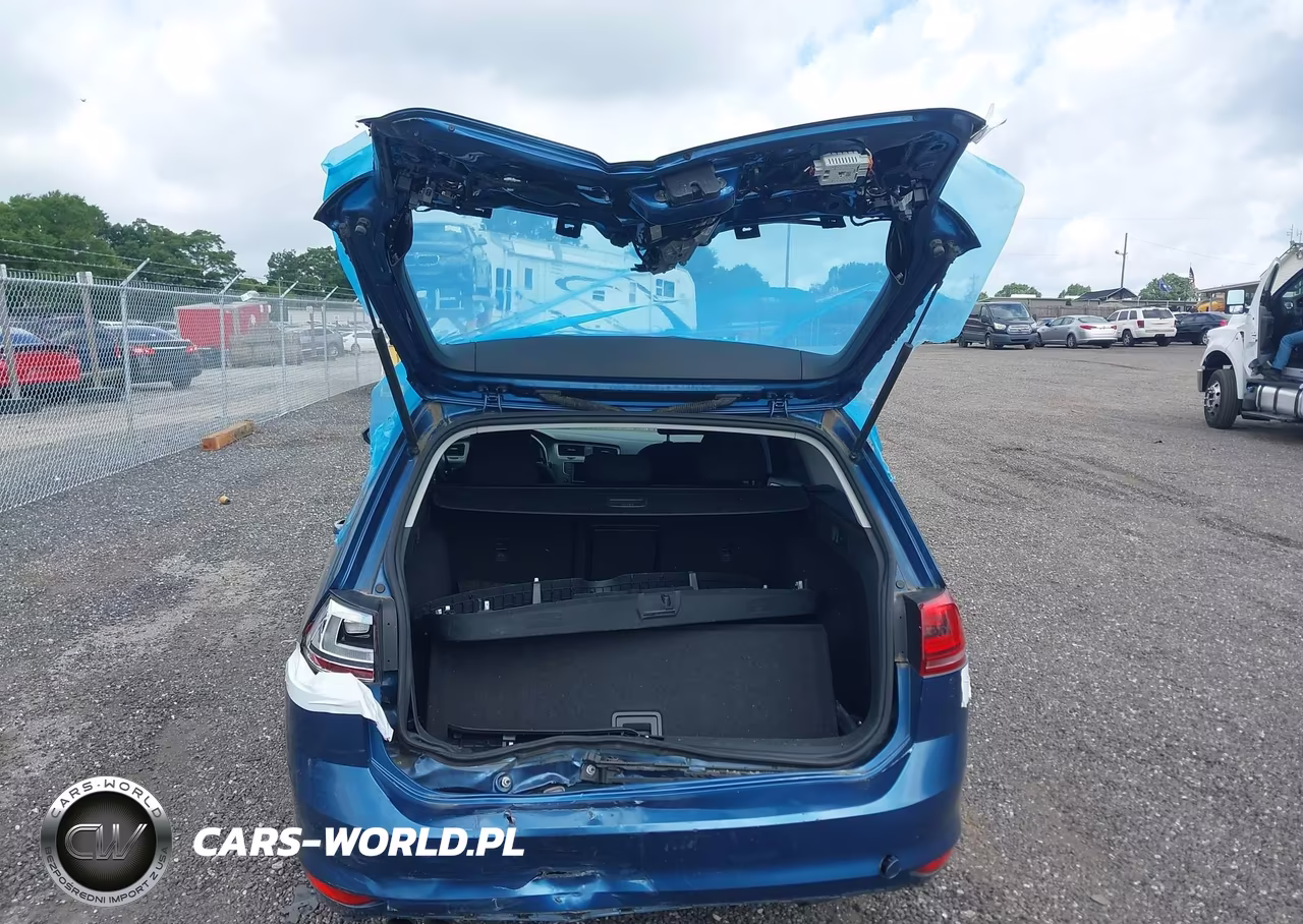 2016 Volkswagen Golf Sportwagen Tsi S 4-Door VIN:3VWC17AU3GM516328 - 16
