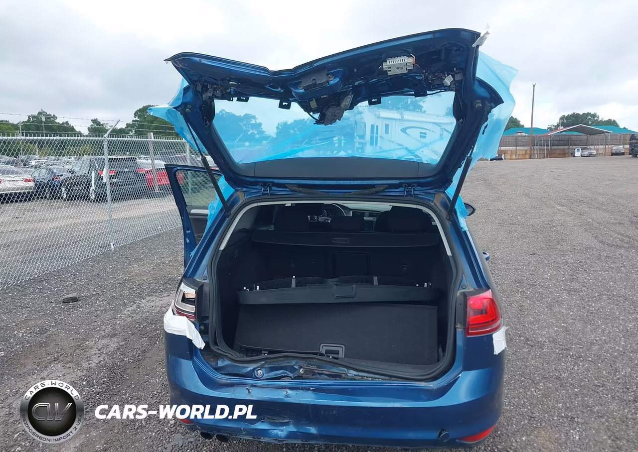 2016 Volkswagen Golf Sportwagen Tsi S 4-Door VIN:3VWC17AU3GM516328 - 6