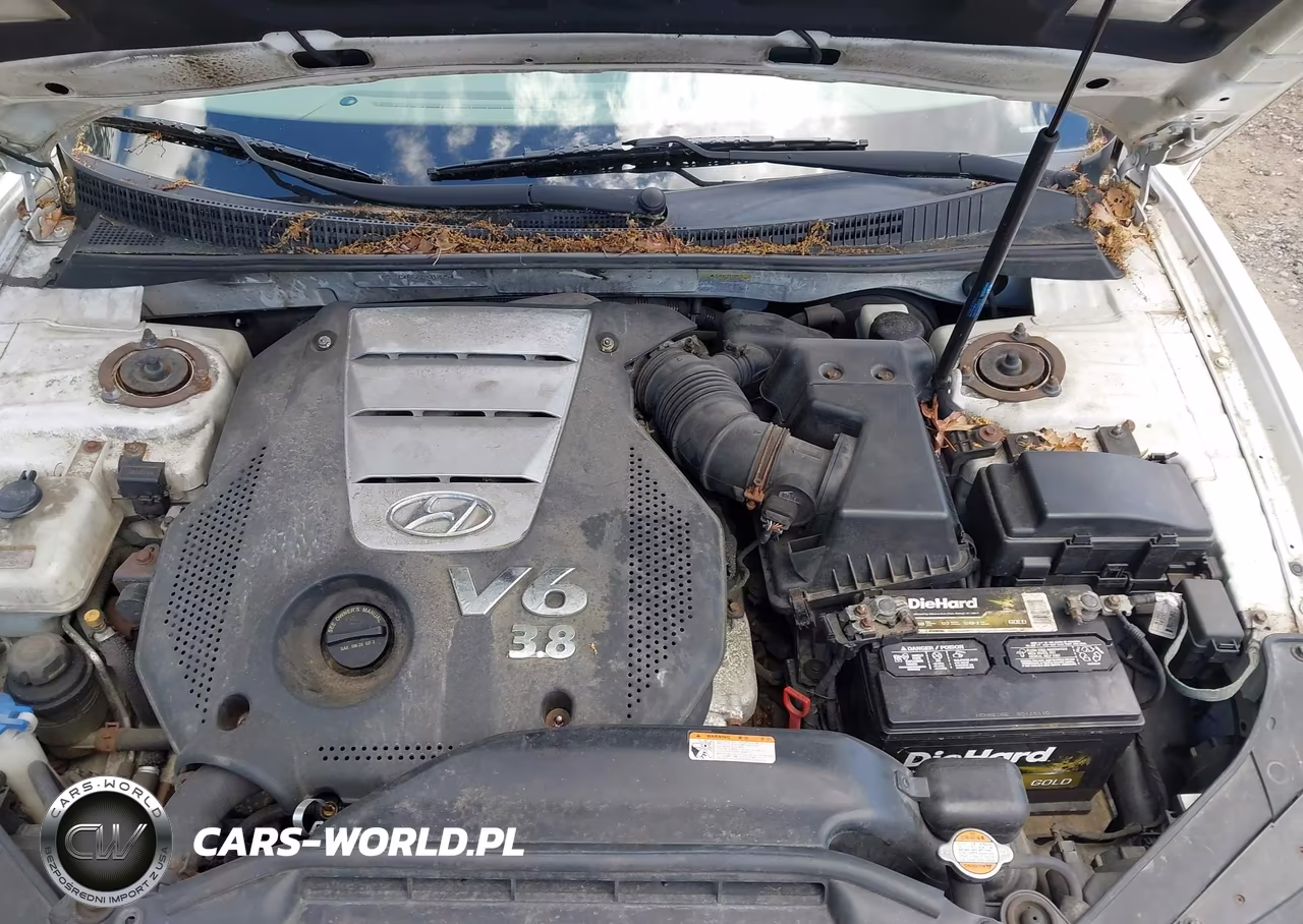 2008 Hyundai Azera Limited VIN:KMHFC46F28A310754 - 10